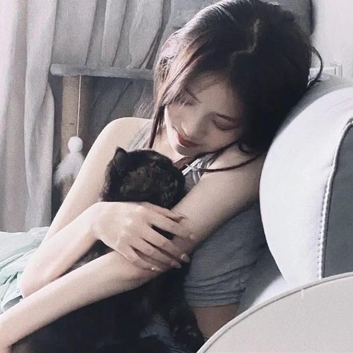 双鱼陨石